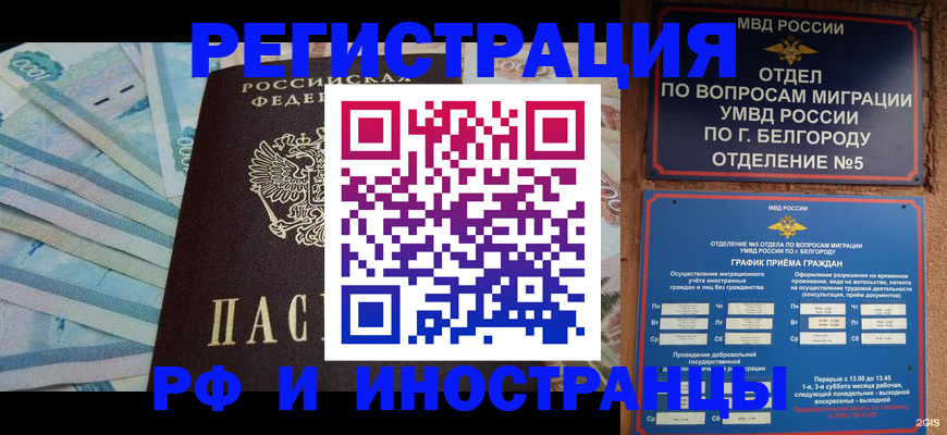 временная регистрация недорого в Палласовке